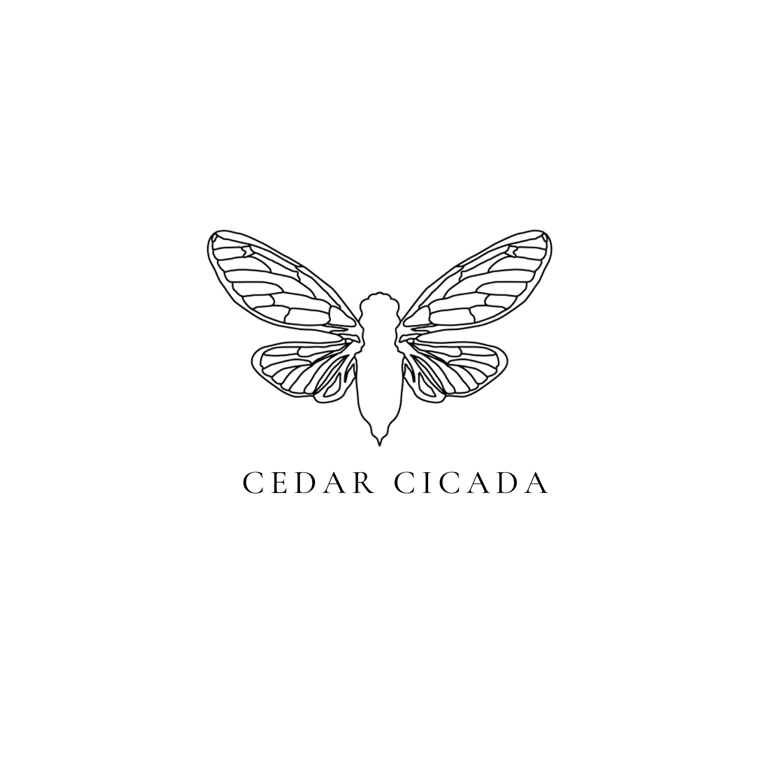 cedar-cicada
