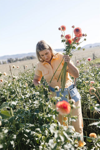 Growing with Intention: The Art of Gardening with Posie Club