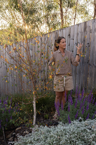 Garden Design Consultation