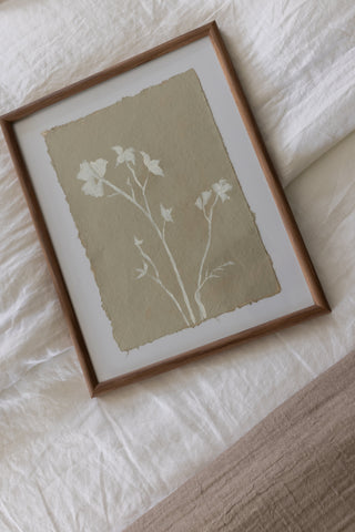 Field Notes I