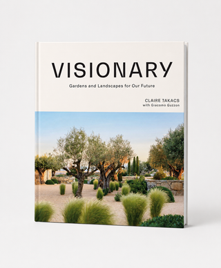 Visionary