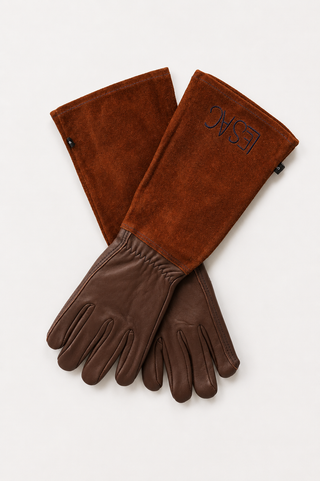 Thornproof Gloves