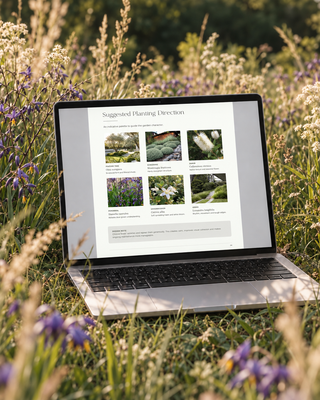 Garden Design Consultation