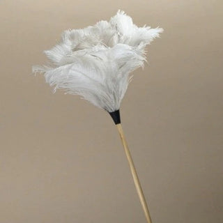 Ostrich Feather Duster 50cm