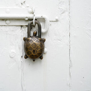 Turtle Lock