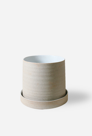 Plant Pot