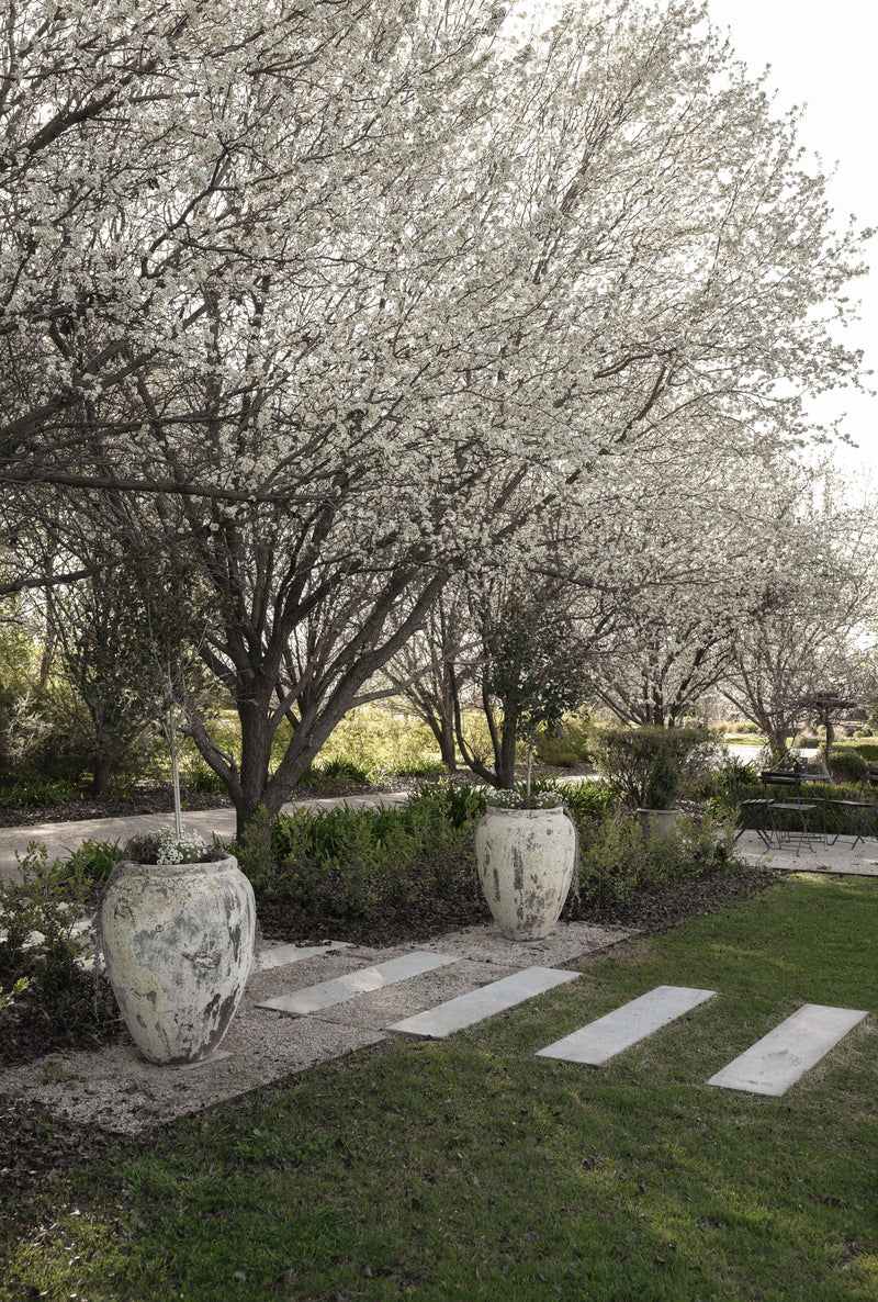 Garden Design Consult