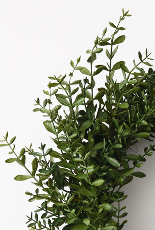 Boxwood Wreath