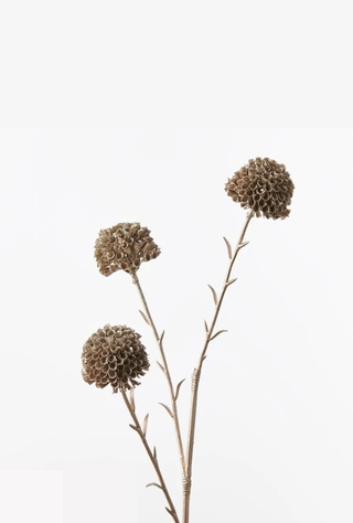 Marigold Metallic Spray