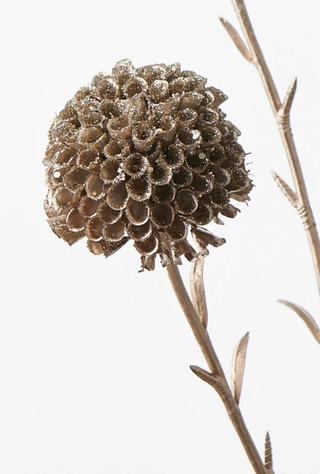 Marigold Metallic Spray