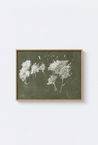 'Daisy Study'