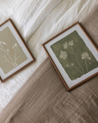 Field Notes II