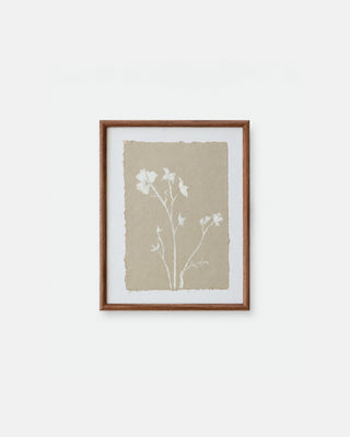 Field Notes I
