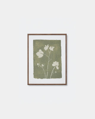 Field Notes II