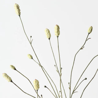 Faux Burnet Spray