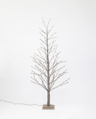 Spruce LED Tree | Ash Brown Medium