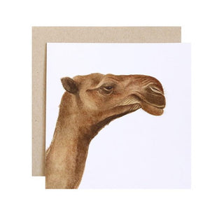 Clarence the Camel Card