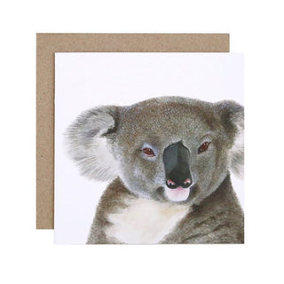 Kev the Koala Card